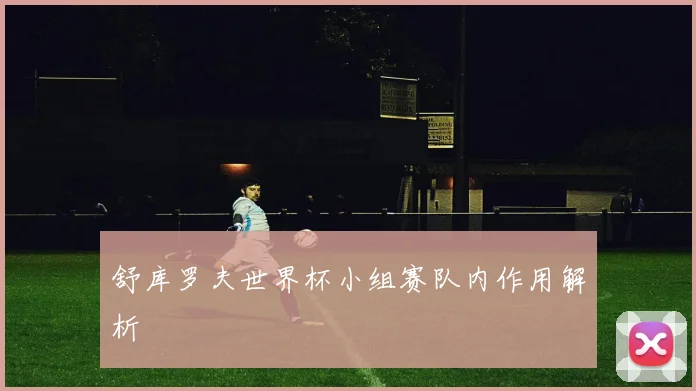 舒库罗夫世界杯小组赛队内作用解析