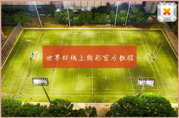 世界杯线上购彩官方教程