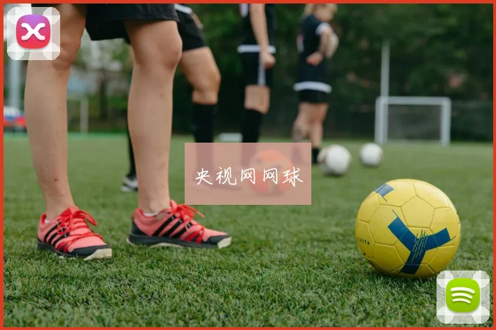 央视网网球
