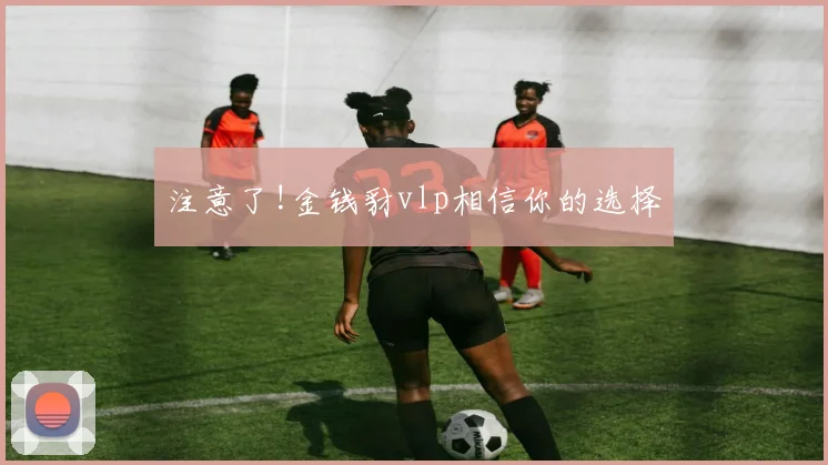 注意了!金钱豺vlp相信你的选择