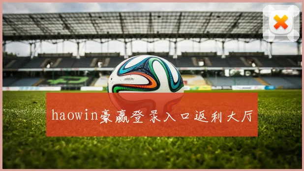 haowin豪赢登录入口返利大厅