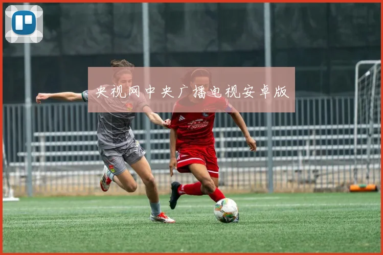 央视网中央广播电视安卓版