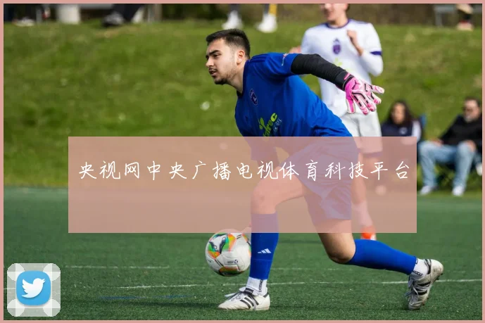 央视网中央广播电视体育科技平台