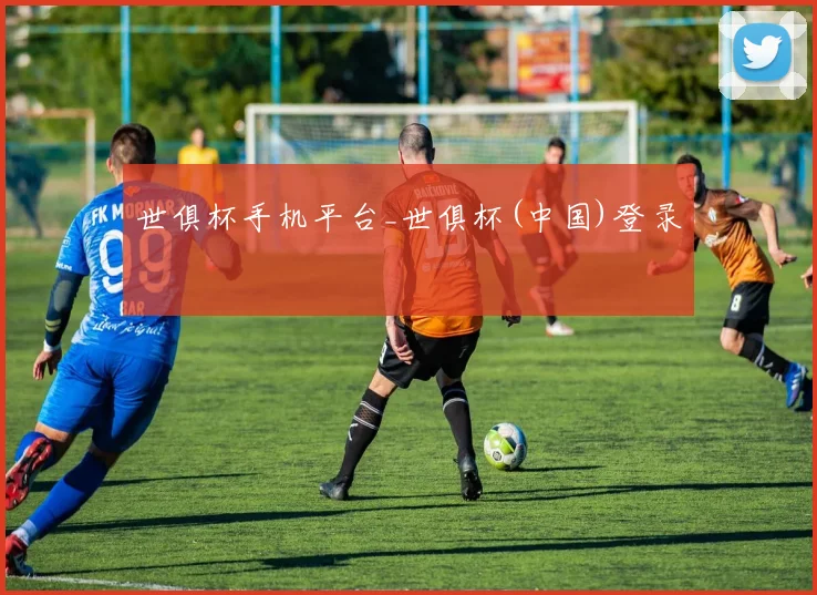 世俱杯手机平台_世俱杯(中国)登录