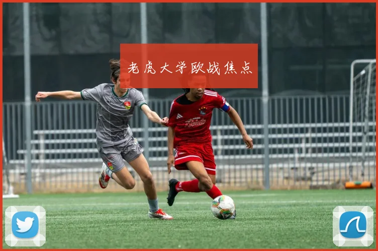 老虎大学欧战焦点