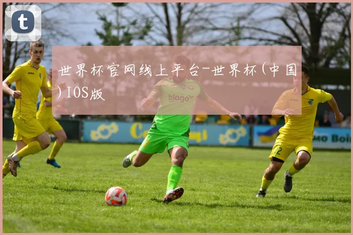 世界杯官网线上平台-世界杯(中国)IOS版