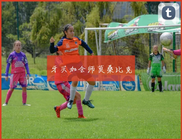 牙买加会师莫桑比克