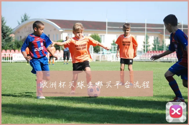 欧洲杯买球去哪买平台流程