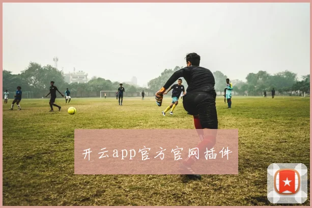 开云app官方官网插件