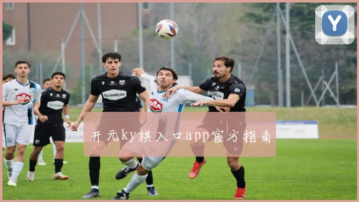 开元ky棋入口app官方指南
