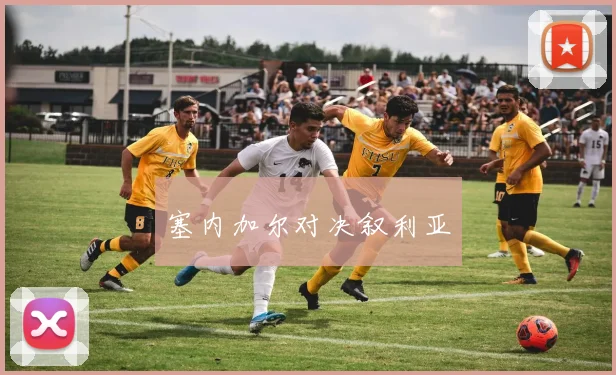 塞内加尔对决叙利亚