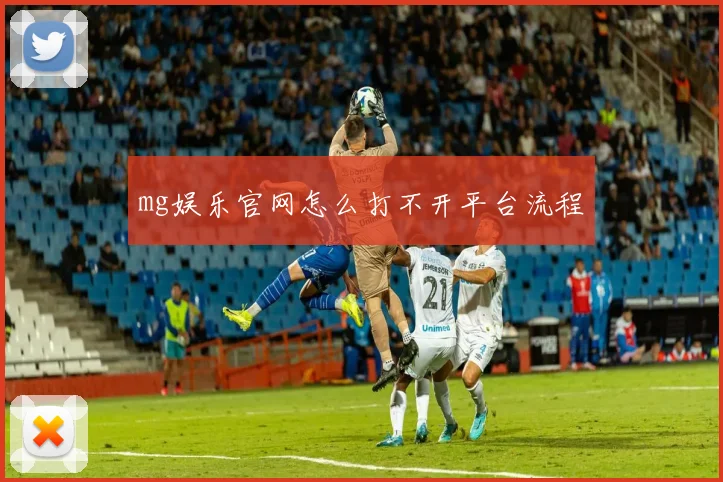 mg娱乐官网怎么打不开平台流程