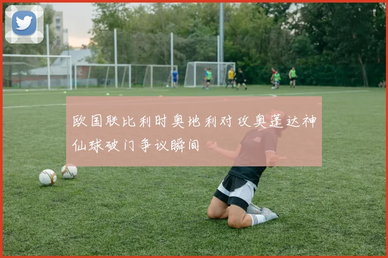 欧国联比利时奥地利对攻奥蓬达神仙球破门争议瞬间