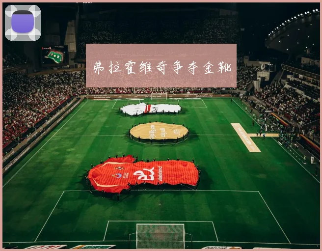 弗拉霍维奇争夺金靴