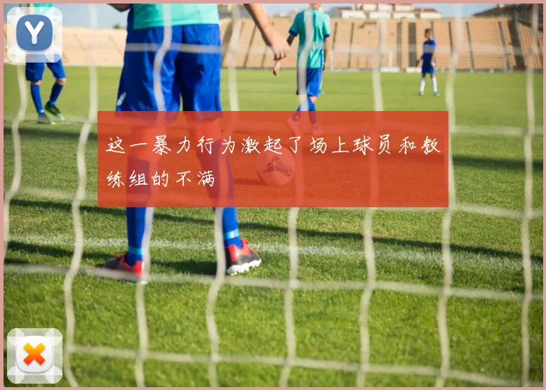 这一暴力行为激起了场上球员和教练组的不满