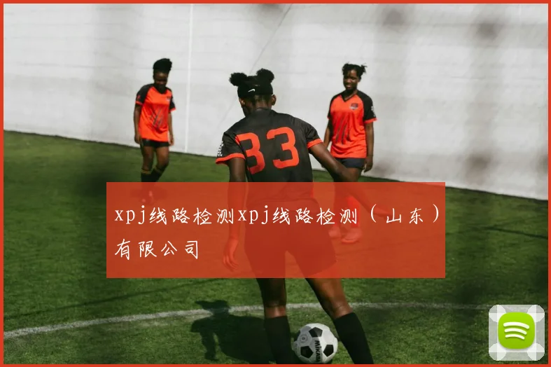 xpj线路检测xpj线路检测（山东）有限公司