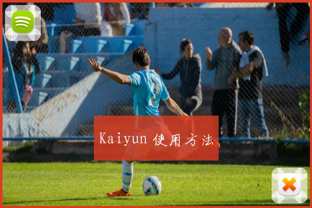 Kaiyun 使用方法