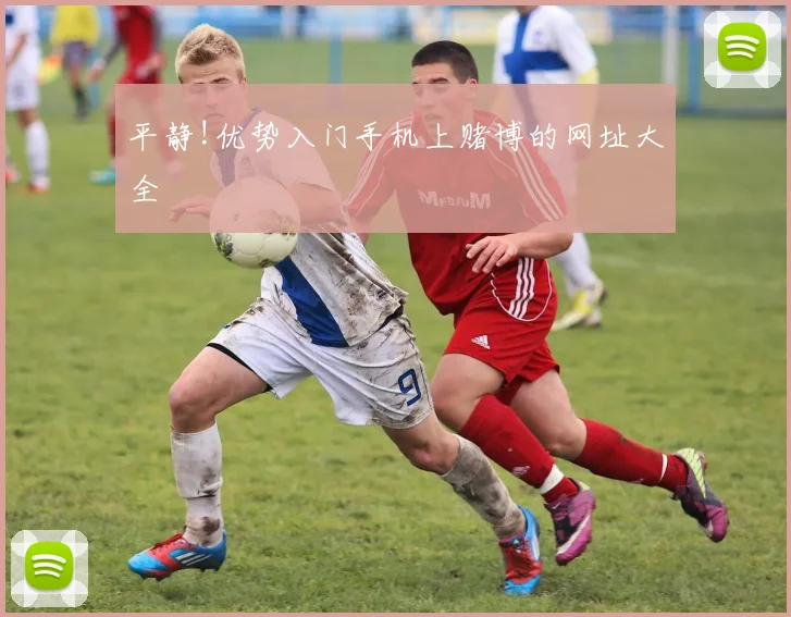 平静!优势入门手机上赌博的网址大全