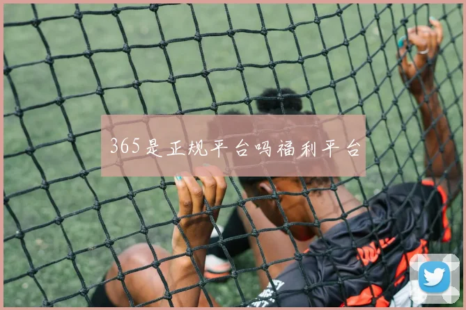 365是正规平台吗福利平台