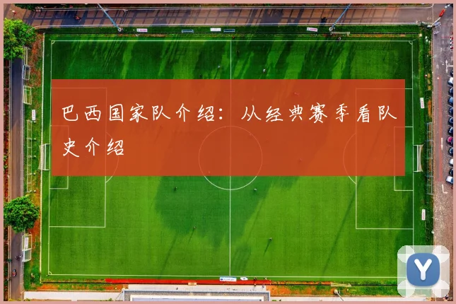 巴西国家队介绍：从经典赛季看队史介绍