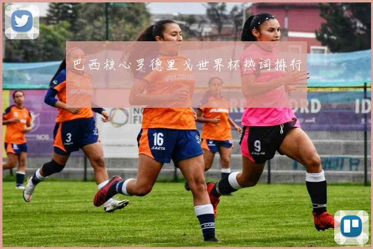 巴西核心罗德里戈世界杯热词排行