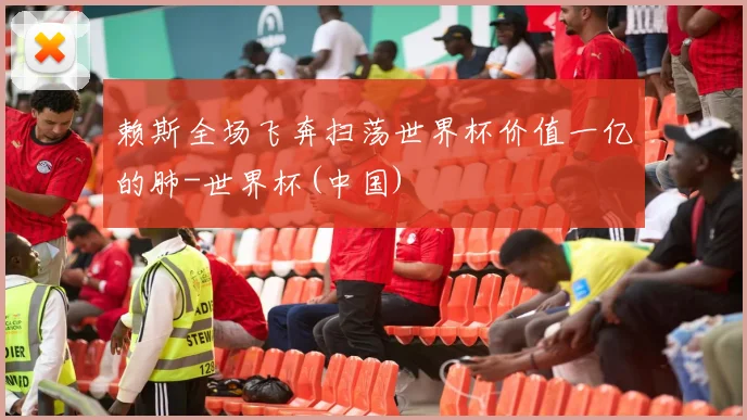 赖斯全场飞奔扫荡世界杯价值一亿的肺-世界杯(中国)