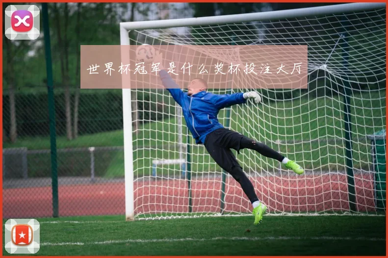 世界杯冠军是什么奖杯投注大厅