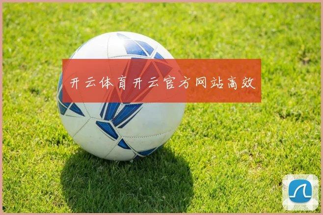 开云体育开云官方网站高效