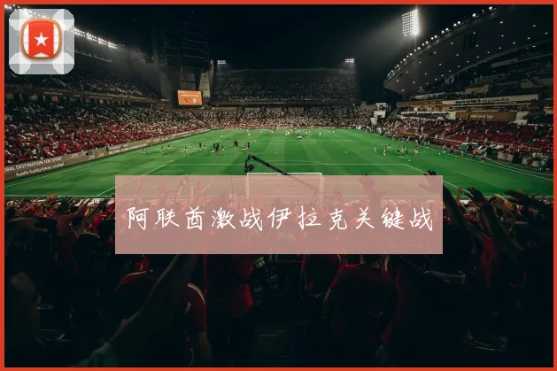 阿联酋激战伊拉克关键战