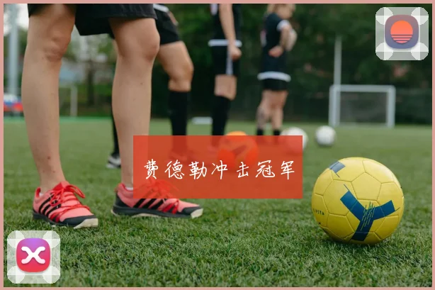 费德勒冲击冠军