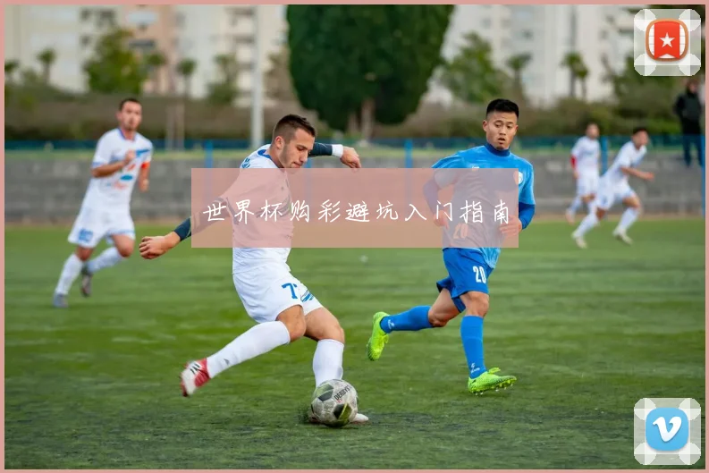 世界杯购彩避坑入门指南