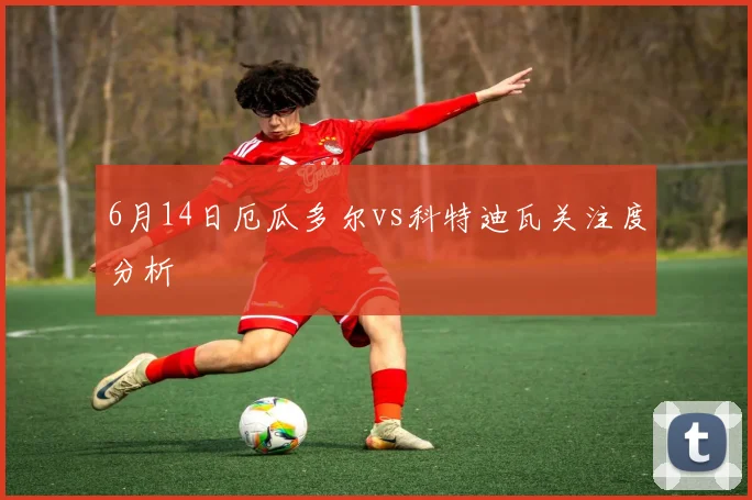 6月14日厄瓜多尔vs科特迪瓦关注度分析