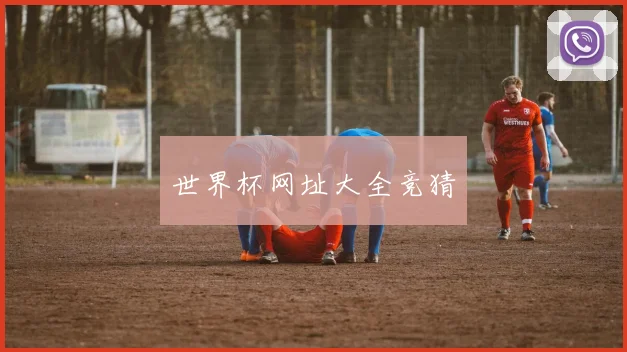 世界杯网址大全竞猜