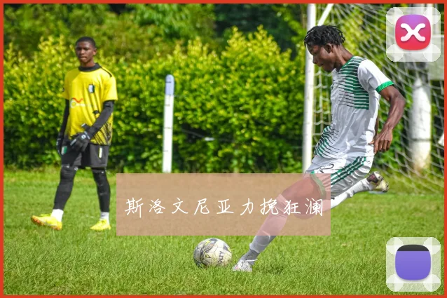 斯洛文尼亚力挽狂澜