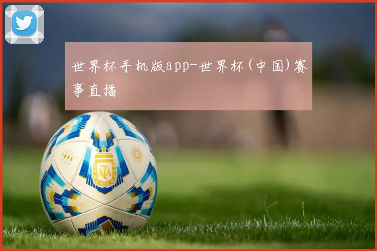 世界杯手机版app-世界杯(中国)赛事直播