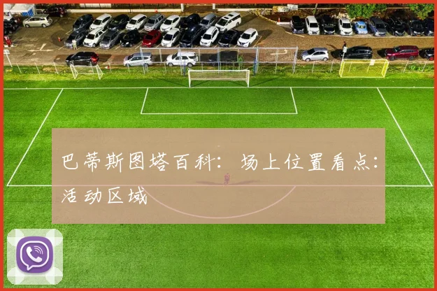 巴蒂斯图塔百科：场上位置看点：活动区域