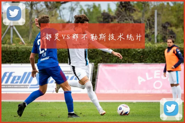 都灵vs那不勒斯技术统计