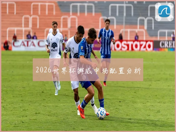 2026世界杯挪威中场配置分析